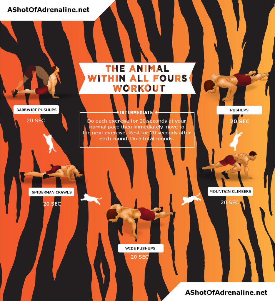 The Animal Within All Fours workout infographic